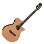 Ibanez AEG7TN - NT Classical Acoustic Electric Guitar w/ EQ Natural - 4549763231024