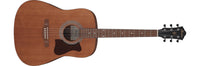 Ibanez V54NJP Acoustic Guitar Starter Pack - 